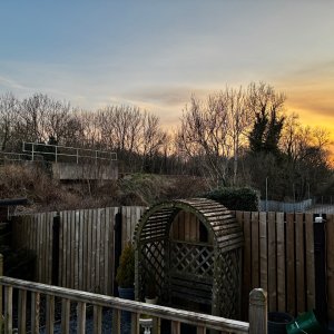 IMG_1303.jpeg