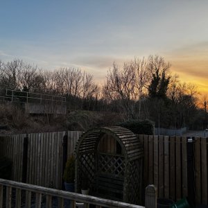 IMG_1302.jpeg