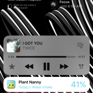 1742500392310.png