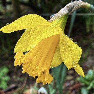 IMG_1417.jpeg