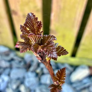 IMG_1484.jpeg