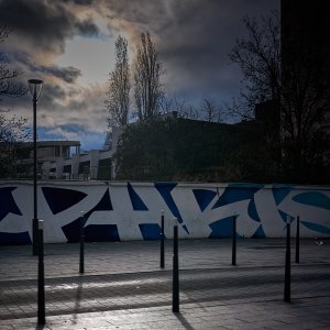 2025-03-23 ~ A7C04681.jpg