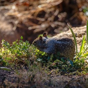 sq 939 rw 8.27.22 xv.jpg