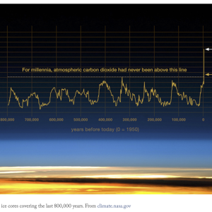 Screenshot 2025-03-25 at 08.46.49.png