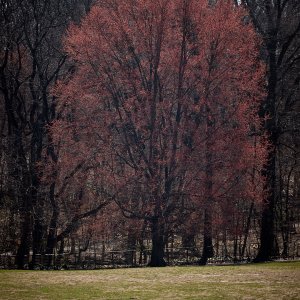 2025-03-25 ~ _R5_7513.jpg