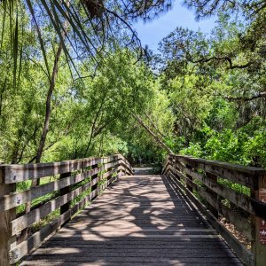 Myakkahatchee bridge.jpg