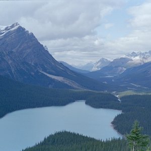 87RT2_17_364.jpg