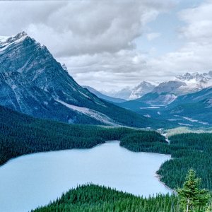 87RT2_17_364A.jpg