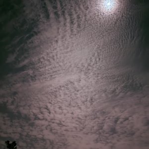 IMG_0039.jpeg