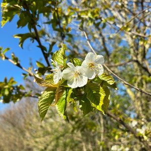 IMG_2028.jpeg