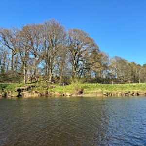 IMG_2037.jpeg