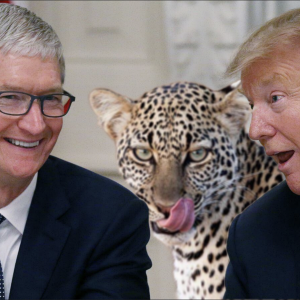 Screen Shot 2025-04-04 at 11.52.01 AM.png