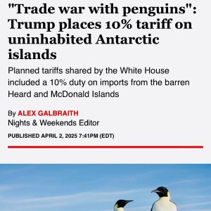 Trade war with penguins.jpg