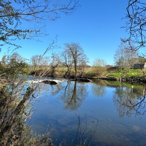 IMG_2258.jpeg