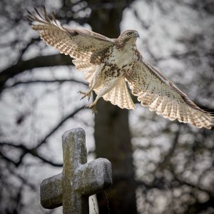 2025-04-06 ~ _R5_9325.jpg