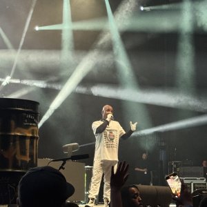 IMG_2849.jpeg