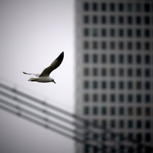 2025-04-07 ~ _R5_9676.jpg