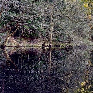 IMG_2482.jpeg