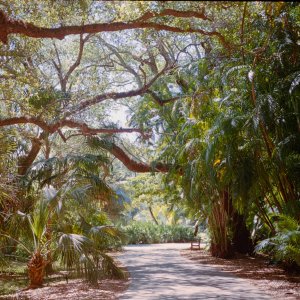 Roll _3_LeicaM3_2025_Image_25-positive.jpg