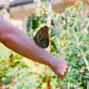 Roll _3_LeicaM3_2025_Image_32-positive.jpg