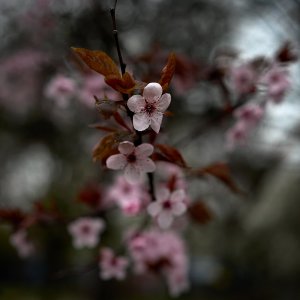 2025-04-07 ~ A7C05728.jpg