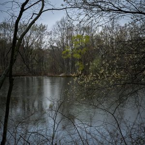 2025-04-11 ~ A7C05874.jpg