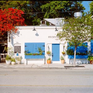 Roll _3_LeicaM3_2025_Image_36-positive.jpg