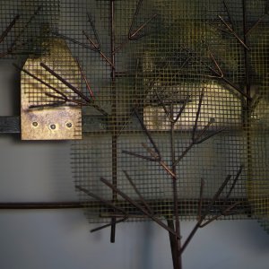 Catching the Light.jpeg