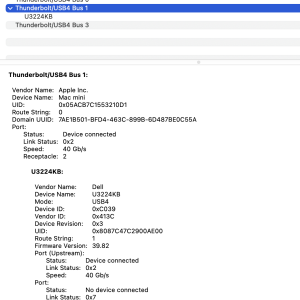 SystemInformation_Thunderbolt-tab.png