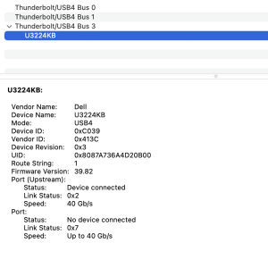 SystemInfo_Thunderbolt_4R9C9P3_Oct2023_SerNo_A02.png