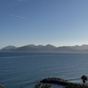IMG_3723.jpeg