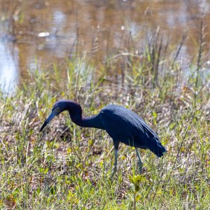 IMG_0074.jpg