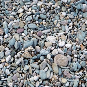 Pebbles20220510.jpg