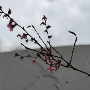 IMG_6542.jpeg