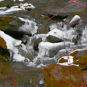 DSC_0078.jpg