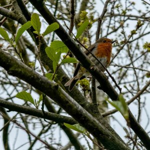 IMG_3851.JPG