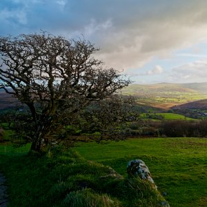Dartmoor View 2.jpeg
