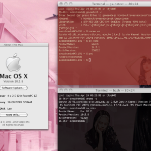 netcat.png