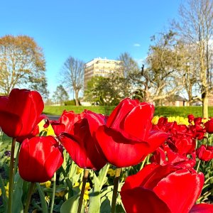 IMG_3823.jpeg