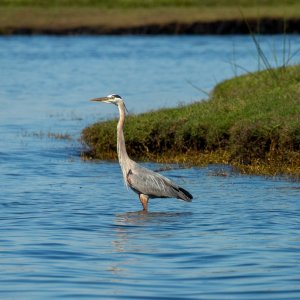 IMG_0061.jpg