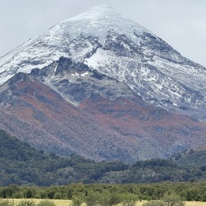IMG_9517.JPG