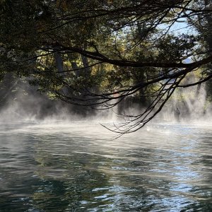 IMG_9740.JPG