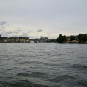 IMG_1560.jpeg
