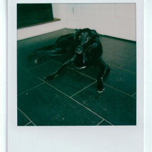 PolaroidSupercolor635CL_2025_Image_10-positive.jpg