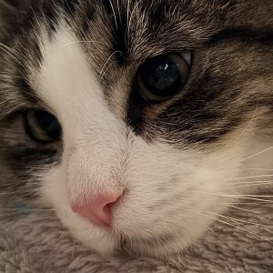 IMG_0554.jpeg