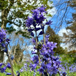 IMG_3900.jpeg