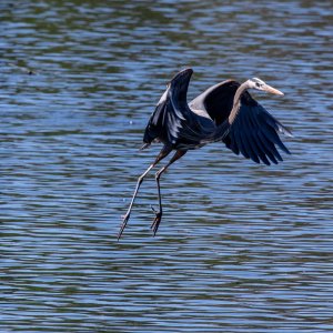 IMG_0337.jpg