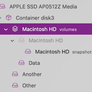 apfs.png