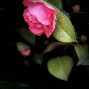 IMG_5667.jpeg