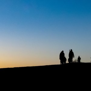 DSC_1327.jpeg